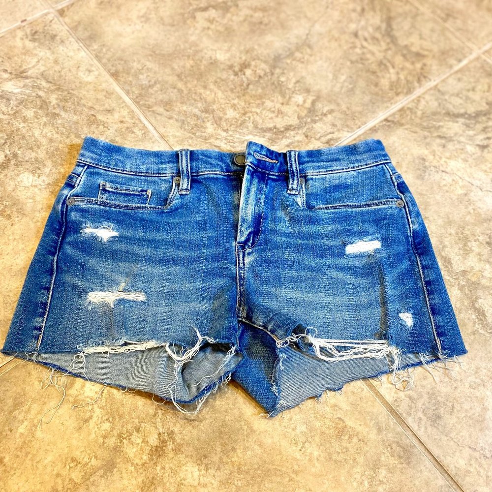 BlankNYC The Essex Size 26 Cutoff Jean Shorts